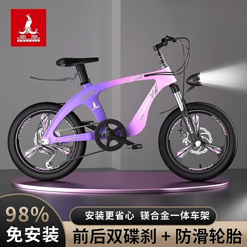 Phoenix Magnesium Alloy Childr - огляд і ціна Mountain Biking Phoenix