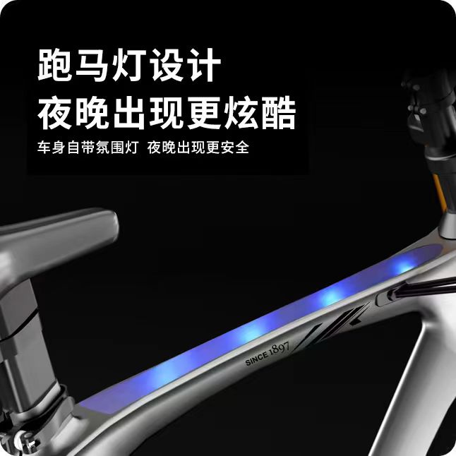 Phoenix Magnesium Alloy Childr - огляд і ціна Mountain Biking Phoenix