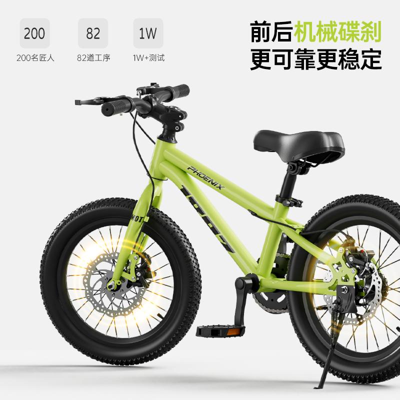 New Phoenix Kids Bike Boys and - огляд і ціна Mountain Biking Phoenix