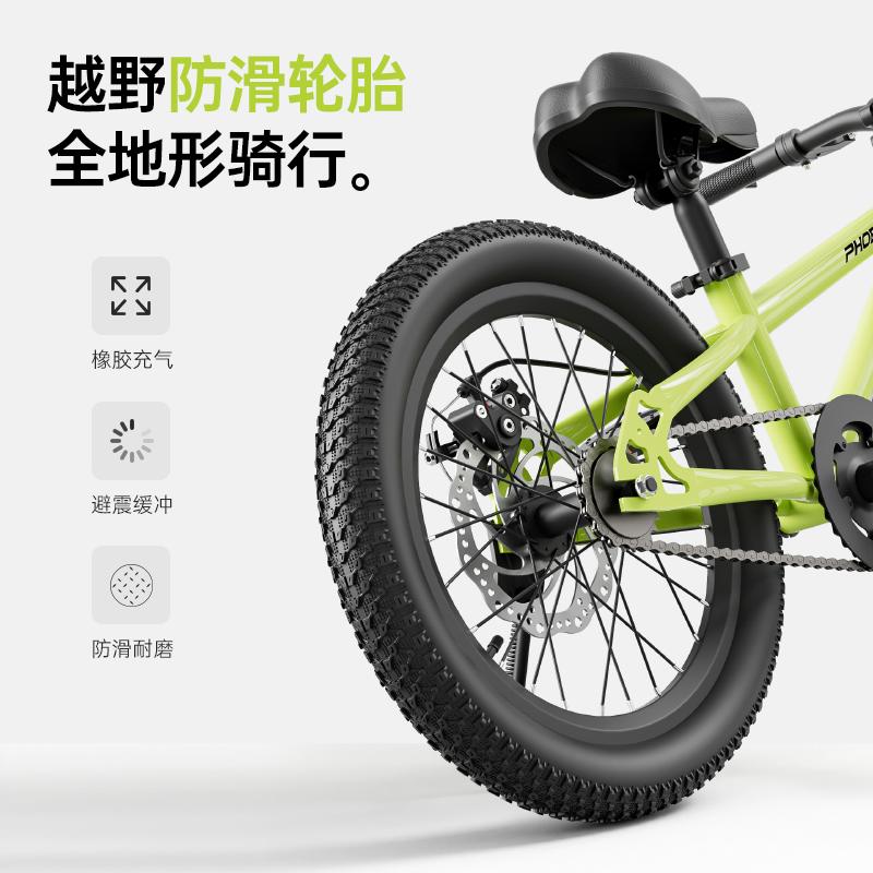 New Phoenix Kids Bike Boys and - огляд і ціна Mountain Biking Phoenix