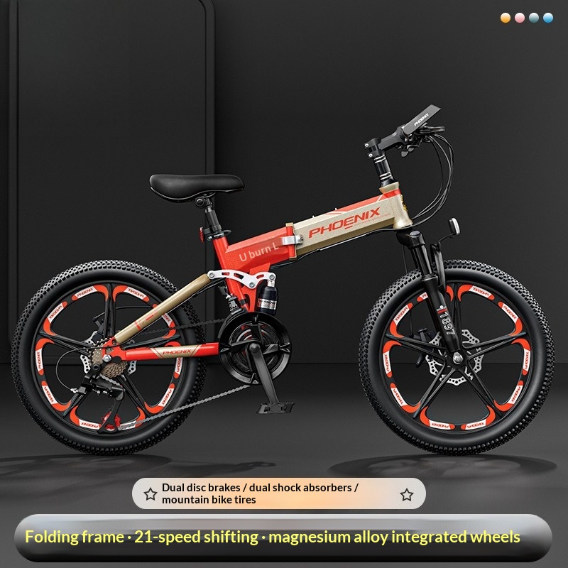 Phoenix Kids Folding Bike Port - огляд і ціна Mountain Biking Phoenix